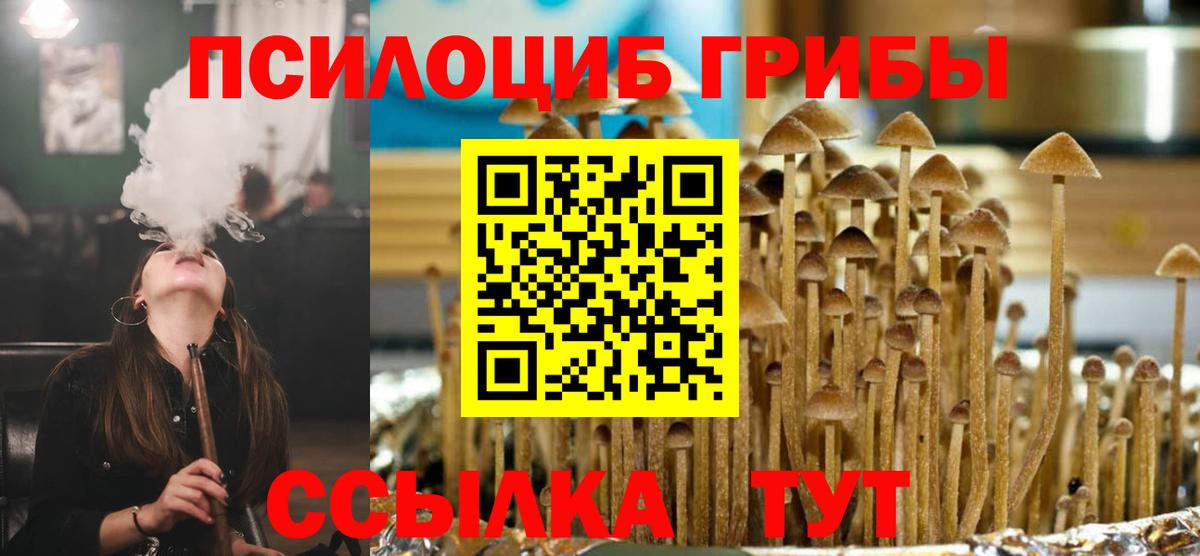 Псилоцибиновые грибы мицелий Подольск